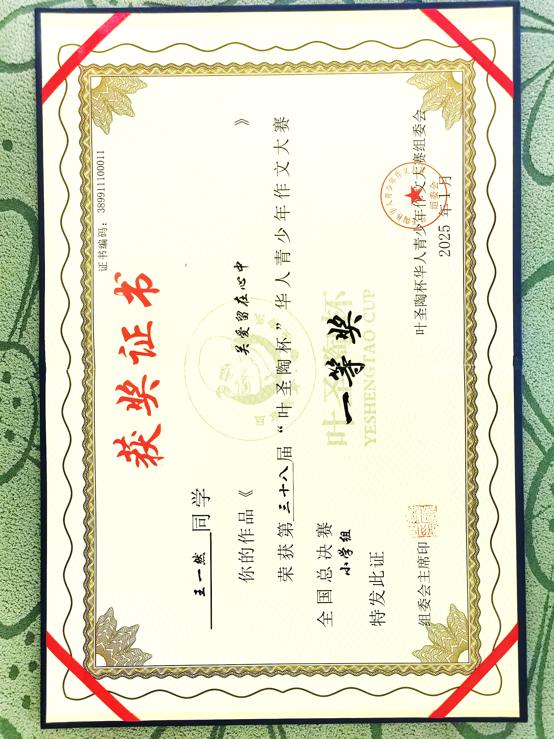 全国叶圣陶杯华人青少年作文大赛小学组一等奖